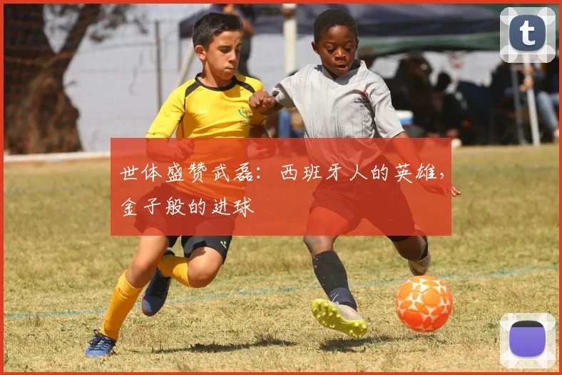 世体盛赞武磊：西班牙人的英雄，金子般的进球
