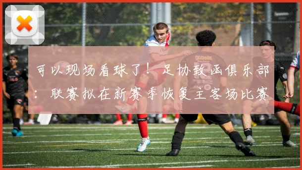 可以现场看球了！足协致函俱乐部：联赛拟在新赛季恢复主客场比赛